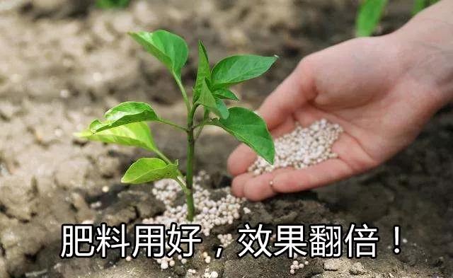 微信图片_20200327160225.jpg 微信图片_20200327160225.jpg