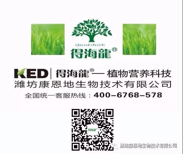 微信图片_20200327160236.jpg 微信图片_20200327160236.jpg